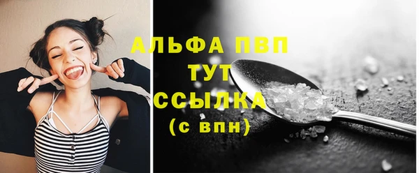 гидра Вязьма