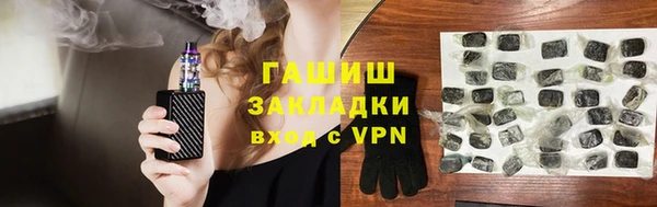 гидра Вязьма