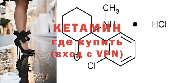 гидра Вязьма