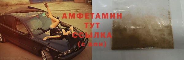 гидра Вязьма