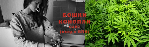 гидра Вязьма