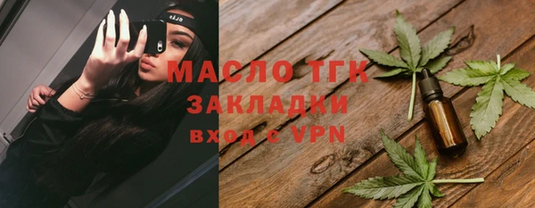 гидра Вязьма